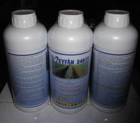 High Purity Oxyfluorfen 24% EC Herbicide for Onion and Peanuts CAS No. 42874-03-3